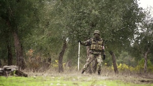 Portuguese Mechanized Forces