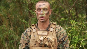 Air, Ground Warriors Perfect MAGTF Ops During Blue Chromite
