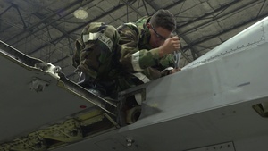 Vigilant Ace 16: F-16 Phase Dock Inspection