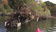 Mallows Bay