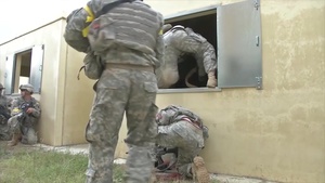 Michigan National Guard at Trident Juncture 2015