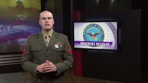 DoD News: COL Buzzard Briefs Press on Inherent Resolve