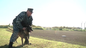 Yokosuka’s Canine Unit in the Spotlight