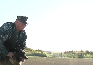 Yokosuka’s Canine Unit in the Spotlight