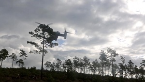 U.S. Marines Train with Allies in Portugal (B-Roll)