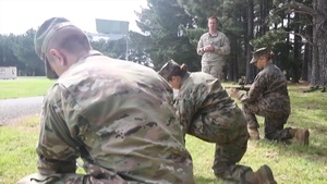 Southern Katipo 2015 Individual Weapon Steyr Assault Rifle Training