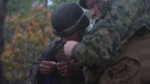 3/6 fires mortars rain or shine