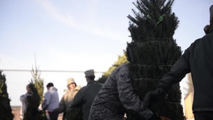 Trees For Troops 2015