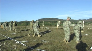LIPIZZANER II EXERCISE in Postonja Nov. 04, 2015