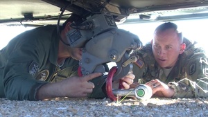 LIPIZZANER II EXERCISE in Postonja Nov. 05, 2015