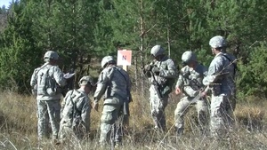 LIPIZZANER II EXERCISE in Postonja Nov. 06, 2015