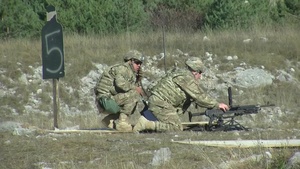 LIPIZZANER II EXERCISE in Postonja Nov. 09, 2015