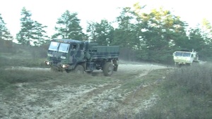 Lipizzaner II Exercise: Driving Training