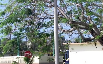 New Family Housing on Naval Base Guam