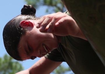 Inside Iwakuni News Update