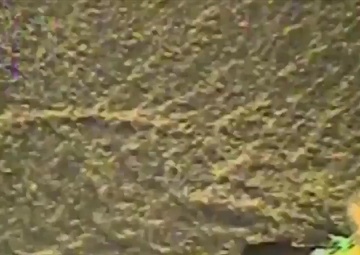 Coast Guard 13th District Case Highlights From 2015