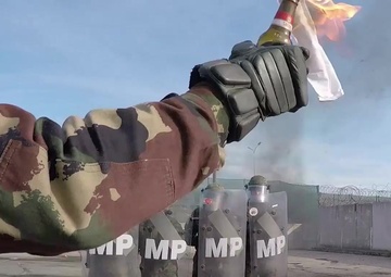 Guardians of Kosovo: Poland Stands Ready to Support Kosovo's Safety and Security