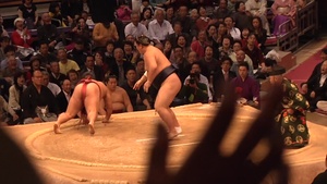 Sailors and Sumo - All Hands Update