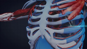 Healthy Heart