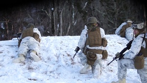Nordic Frost