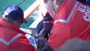 Coast Guard Cutter Cushing crew helps release 130 sea turtles