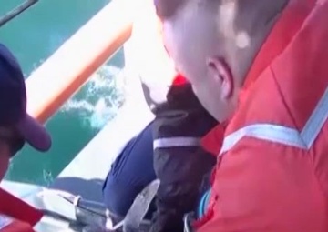 Coast Guard Cutter Cushing crew helps release 130 sea turtles