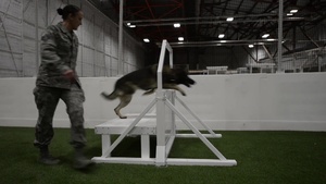 Ellsworth Establishes First Indoor MWD Facility in CONUS