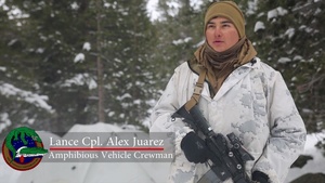 Over the Mountain: 2nd AA Bn Conquers Bridgeport