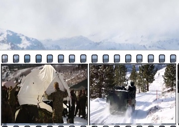 Cold Response Preparation