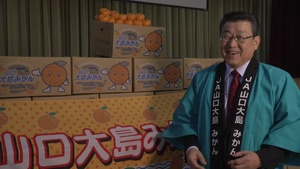 B-Roll of students from M.C. Perry Elementary school, aboard Marine Corps Air Station Iwakuni, and local agricultural professionals participating in a mikan ceremony