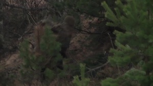 Hiding snipers