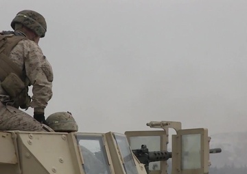 Combined Anti-Armor Team, Fuji Viper 16-3