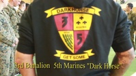 JGSDF Demonstrates Martial Arts to Darkhorse