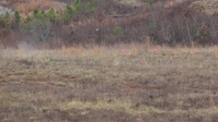 22nd MEU SMUD Training