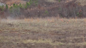 22nd MEU SMUD Training