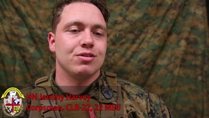 22nd MEU MASCAL Training