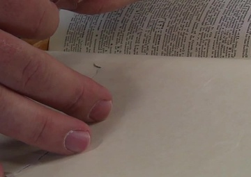 7th Fleet Sailors of the Year