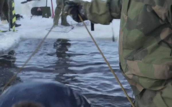 B-Roll: Marines take an icy dip
