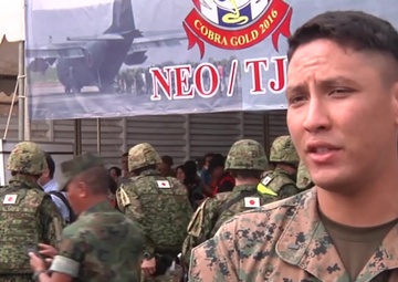 Cobra Gold 16: Non-Combatant Evacuation Operation