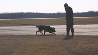 22nd MEU Hosts Community Relations Day