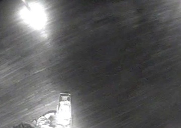 Coast Guard Medevacs Woman From Cruise Ship Near Venice