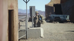 US Marine Corps Military Working Dog Team Deployment Course Prime Cuts At K9 Village