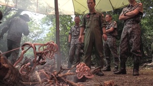 COPE NORTH 16 U.S. and JASDF Jungle Survival