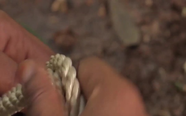 TPDF EOD/HMA Training