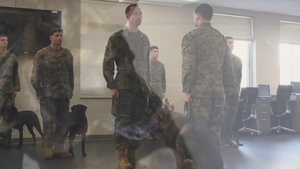 Bringing a part of Josh home; MWD of fallen handler adopted by family