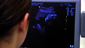 All Hands Update: New Maternity Leave Policy