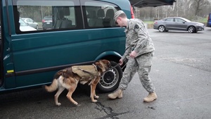 128th Signal Company Jane Wayne Day - Car Search