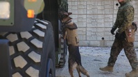 Working Like a Military Working Dog