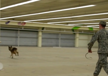 128th Signal Jane Wayne Day