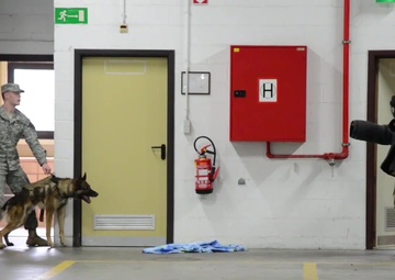 128th Signal Jane Wayne Day